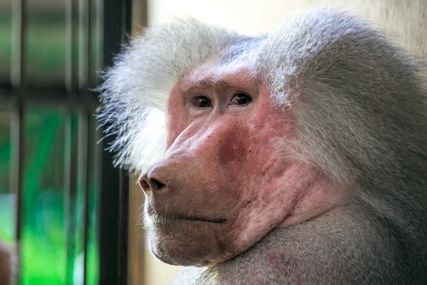 Фото: Марат Мугинов/kzn.ru