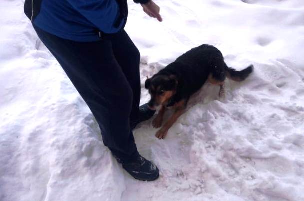 Фото: mchs.tatarstan/vk.com