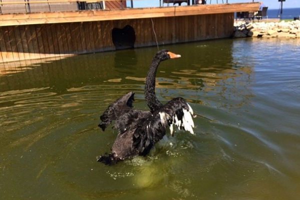 Фото: instagram.com/park.kzn