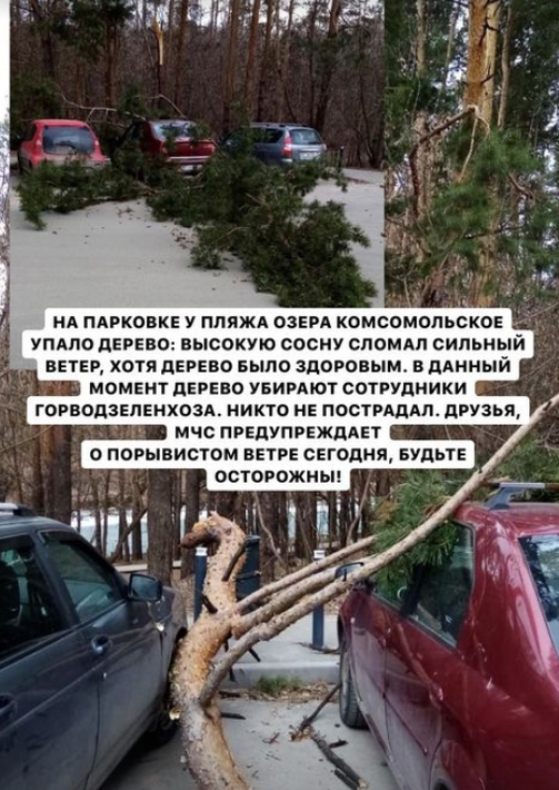 Фото: park.kzn/instagram.com