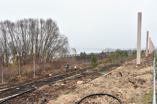 Фото: president.tatarstan.ru