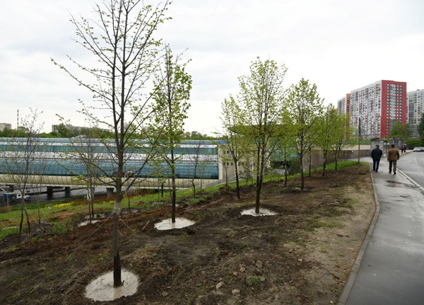 Фото: Денис Гордийко/kzn.ru