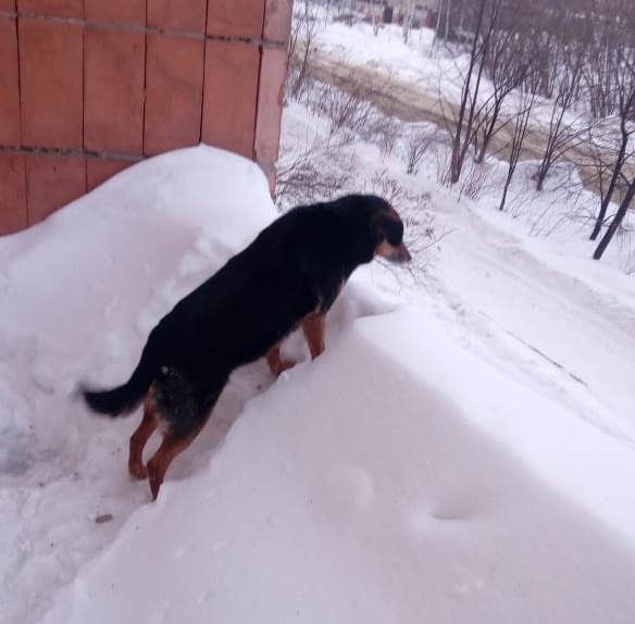 Фото: mchs.tatarstan/vk.com