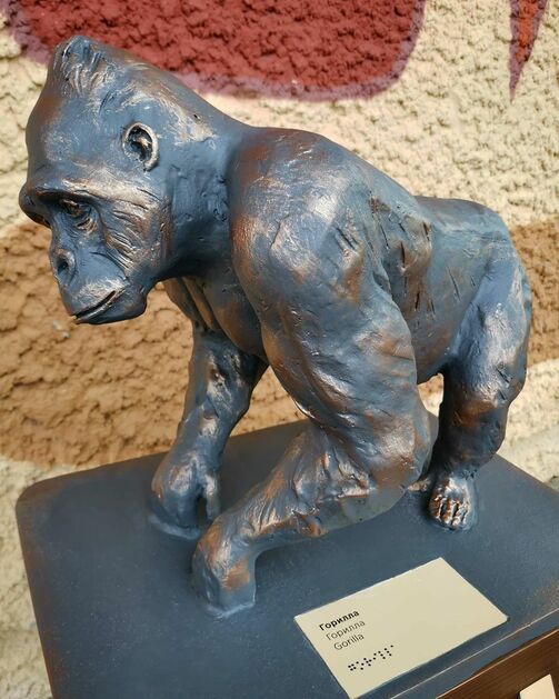 Все фото: kazanzoo1806/instagram.com