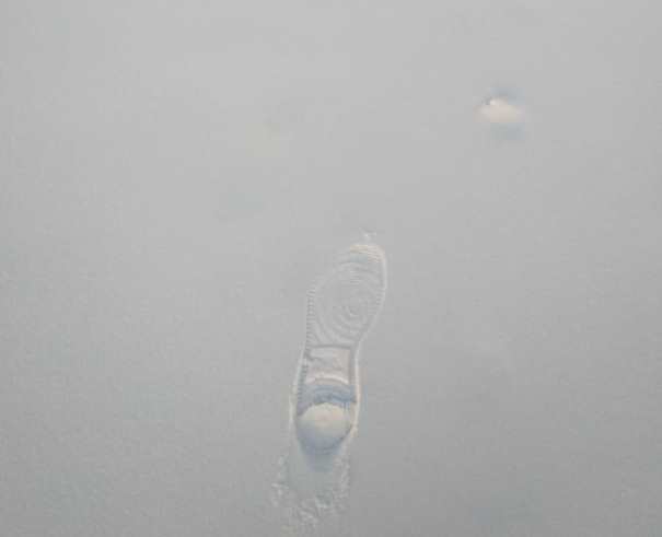 Фото: k0sm0sss/instagram.com