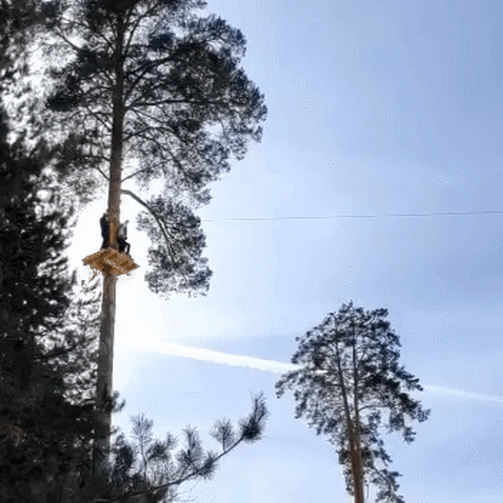 Видео: телеграм-канал «КирМос на районе»