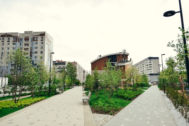 Фото: daniil.shvedov/instagram.com