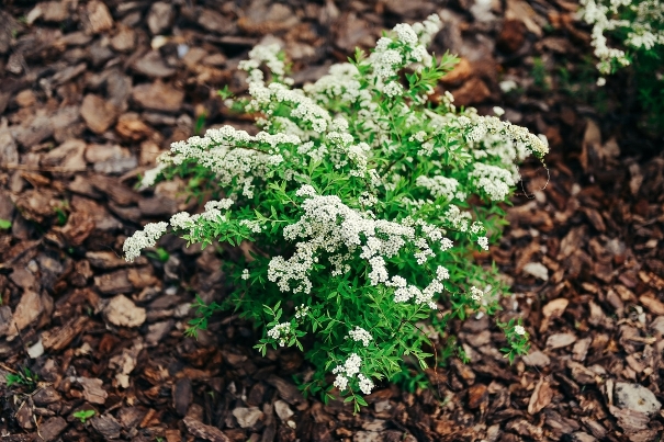 Фото: daniil.shvedov/instagram.com