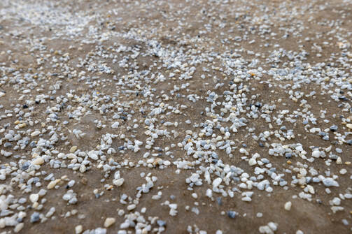 Фото: Марат Мугинов/kzn.ru