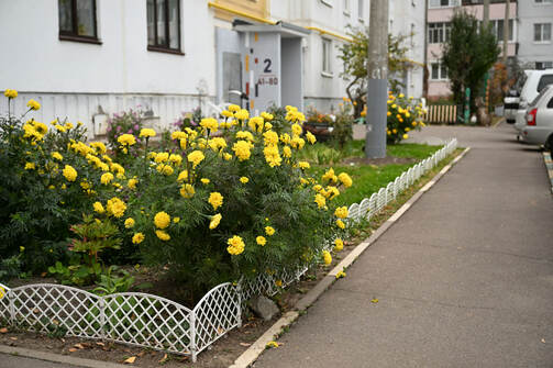 Все фото: Денис Гордийко/kzn.ru