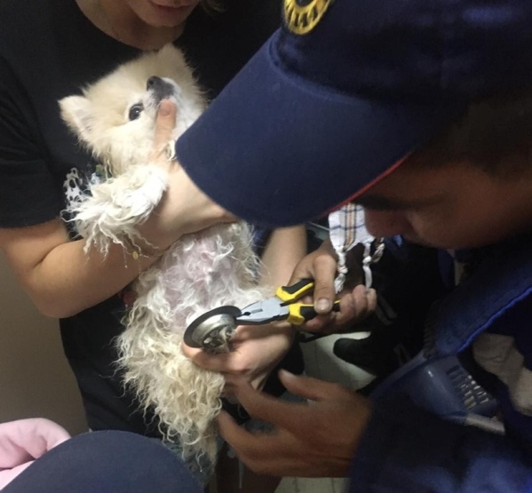 Фото: пресс-служба МЧС РТ