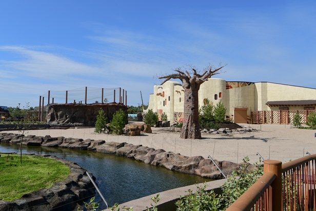 Фото: president.tatar.ru