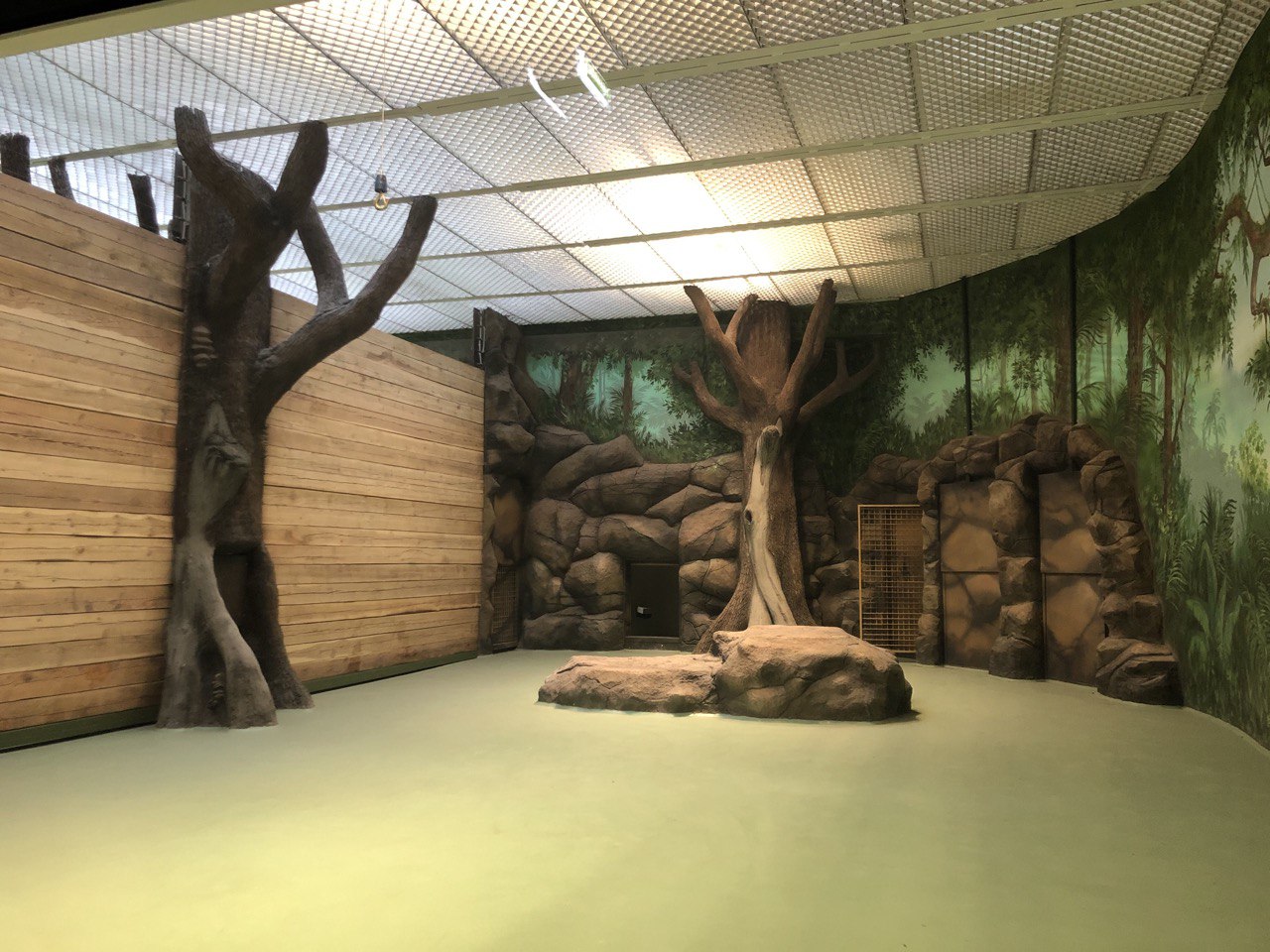 В первый день открытия вольеры пустовали. Конечно, не так как улицы сейчас. Фото: