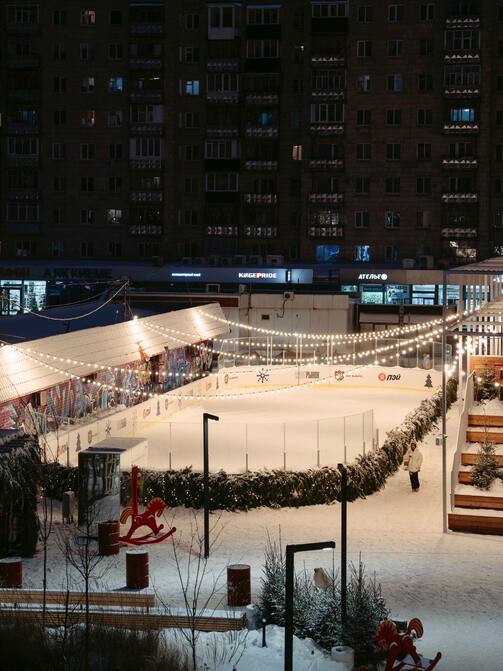 Конь занял очередь на каток. Фото: Александр Копылов/телеграм-канал Московского