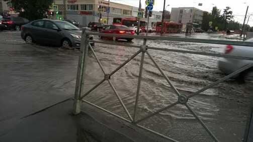 Фото: Владимир Егоров/vk.com